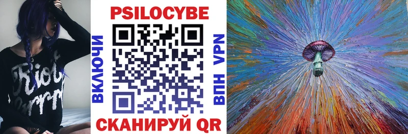Купить где  Химки  Галлюциногенные грибы мицелий 